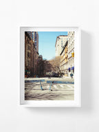 New York Natural History Museum Approach