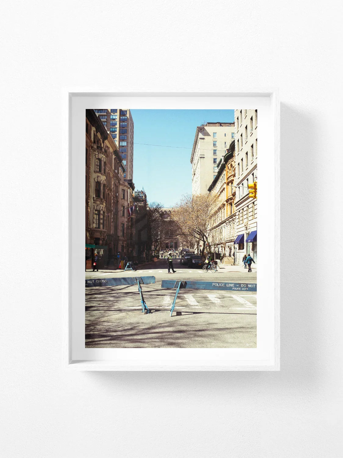New York Natural History Museum Approach