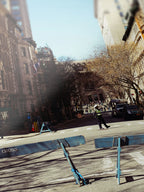 New York Natural History Museum Approach