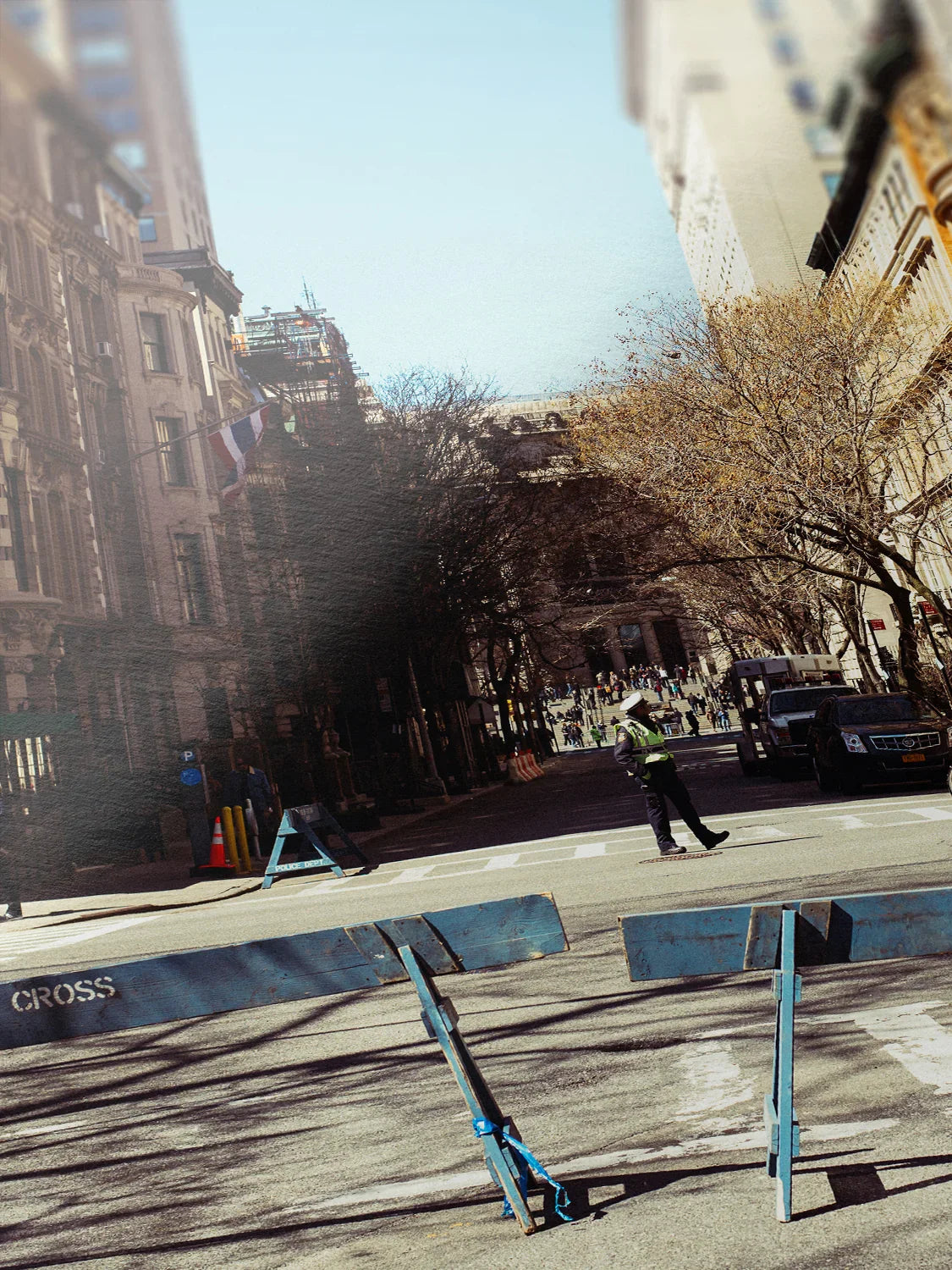New York Natural History Museum Approach