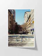 New York Natural History Museum Approach