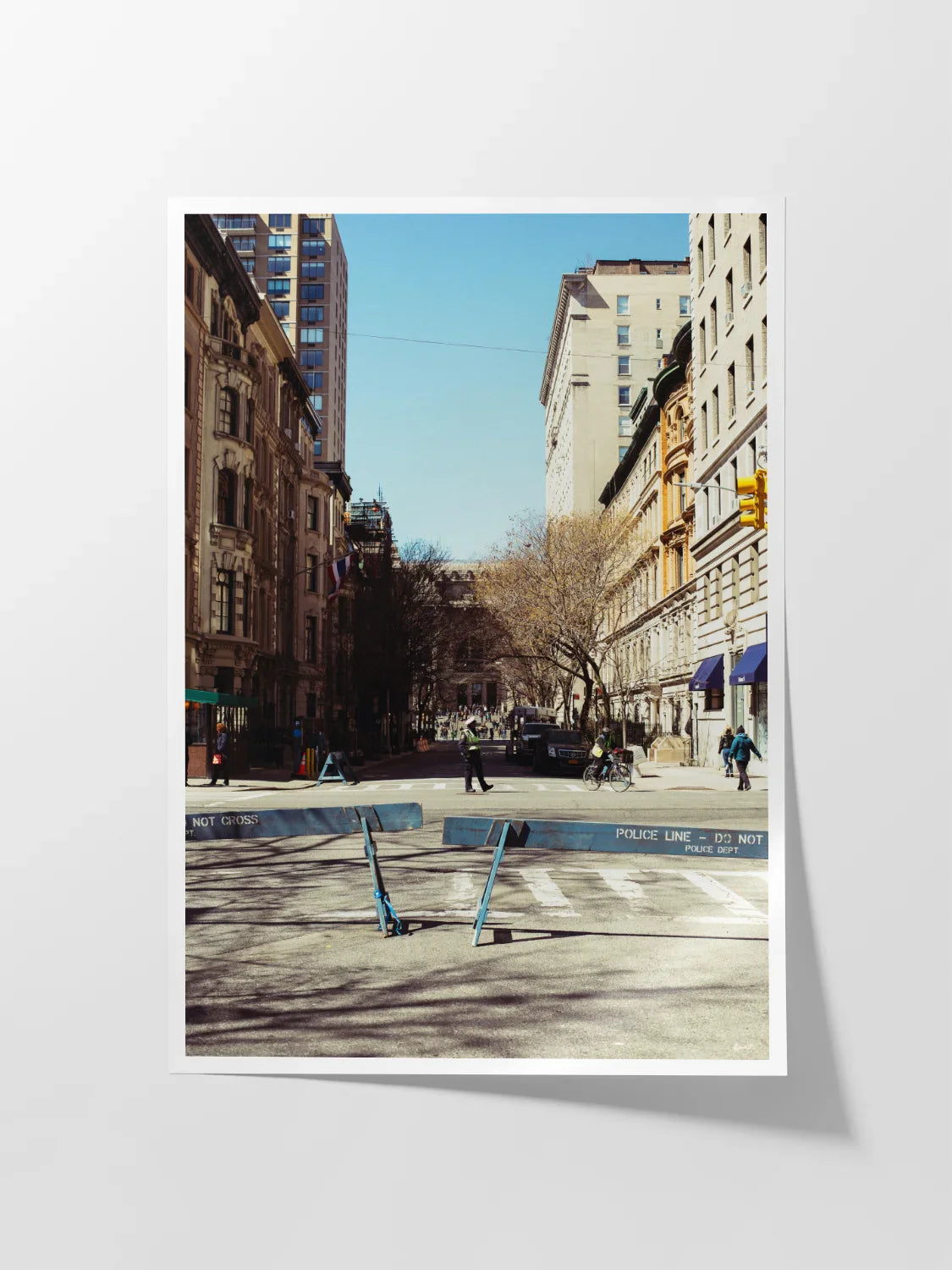 New York Natural History Museum Approach