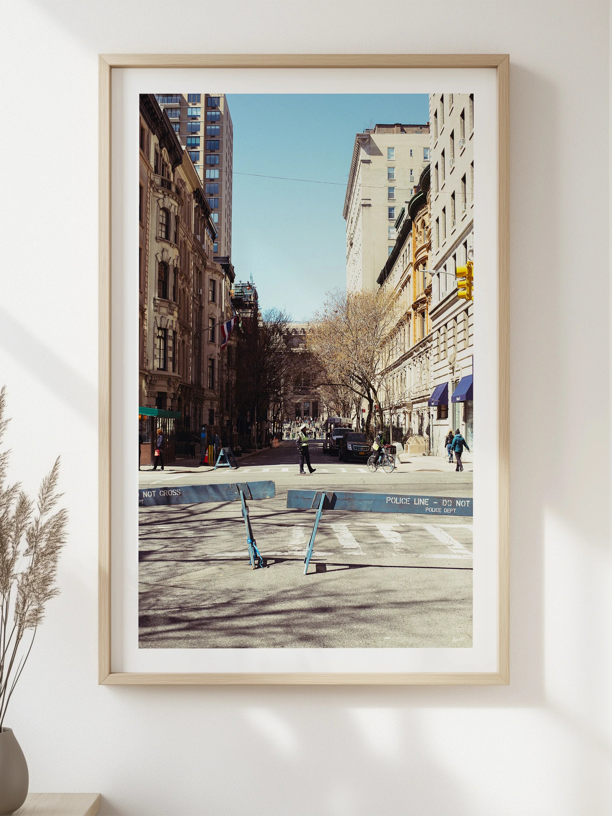 New York Natural History Museum Approach