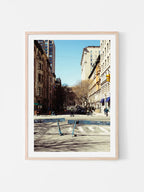 New York Natural History Museum Approach