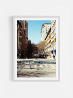 New York Natural History Museum Approach