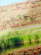 Palm Valley Campground Namatjira Landscape