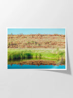 Palm Valley Campground Namatjira Landscape