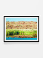 Palm Valley Campground Namatjira Landscape