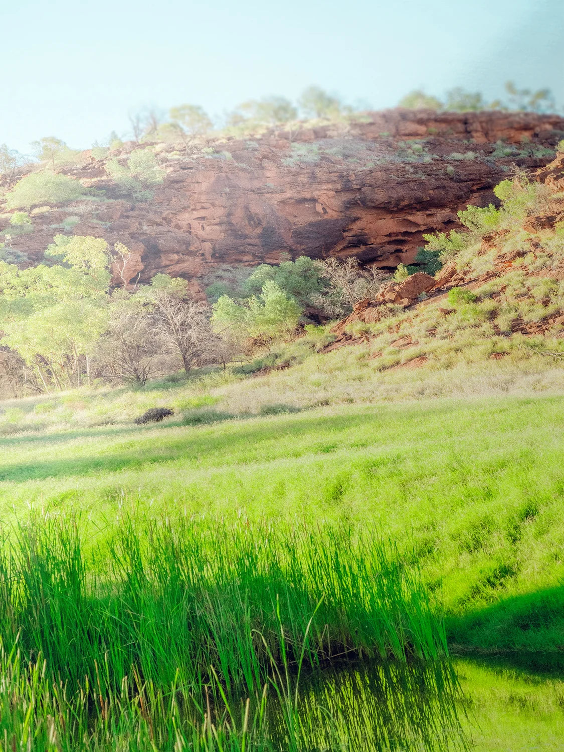 Palm Valley Campground Namatjira Portrait