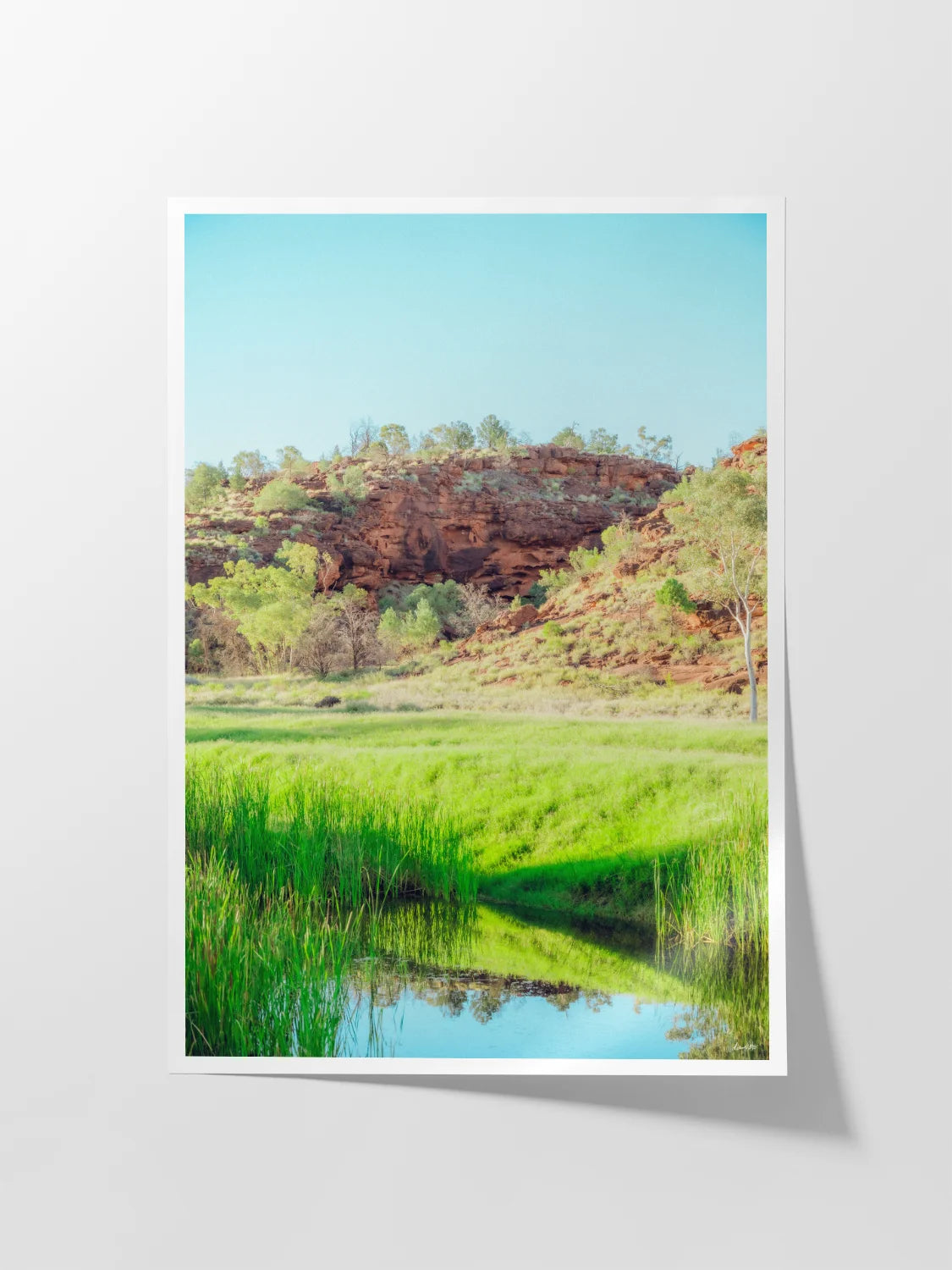 Palm Valley Campground Namatjira Portrait