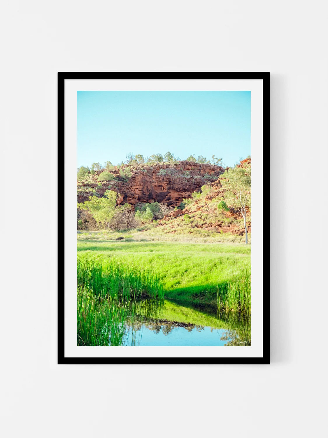 Palm Valley Campground Namatjira Portrait