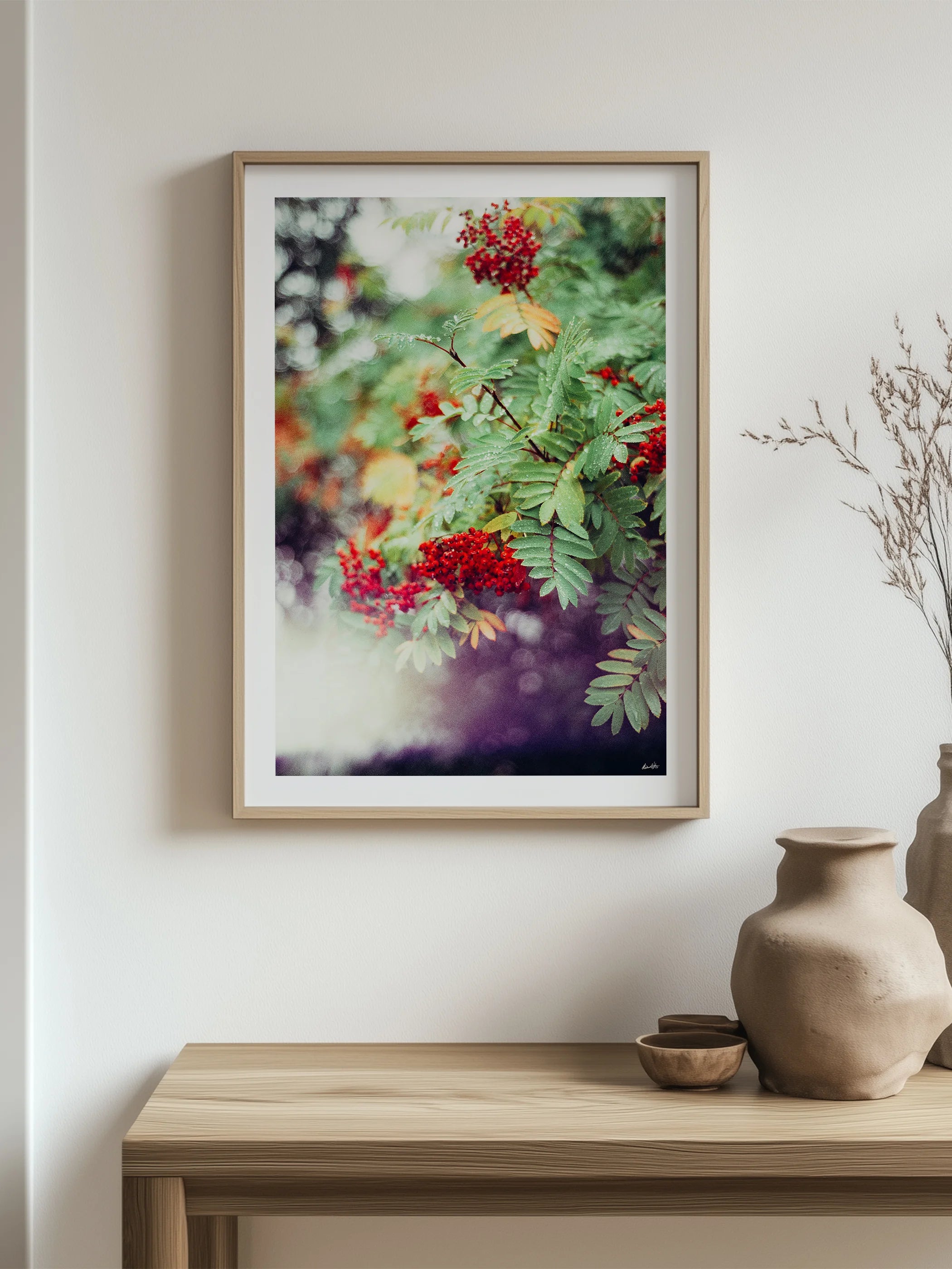 Peak District Red Berries