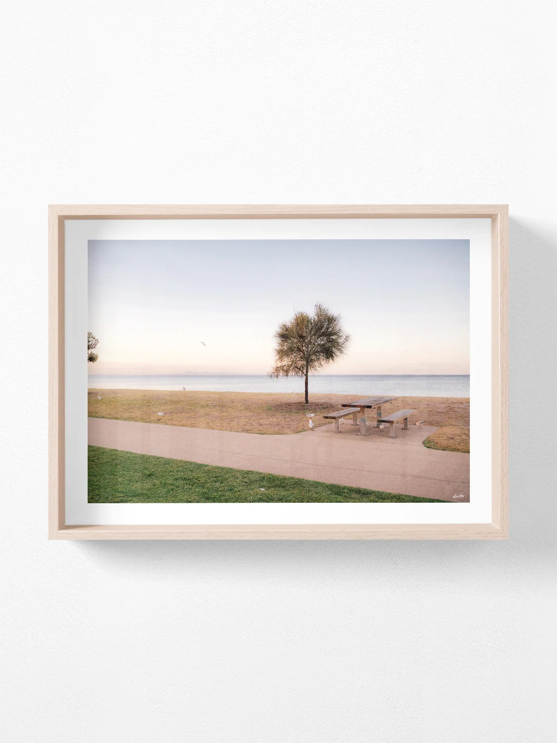 Portarlington Beach at Sunset