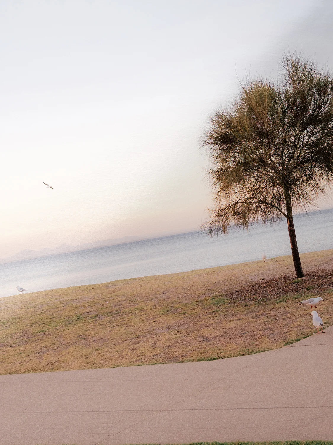 Portarlington Beach at Sunset