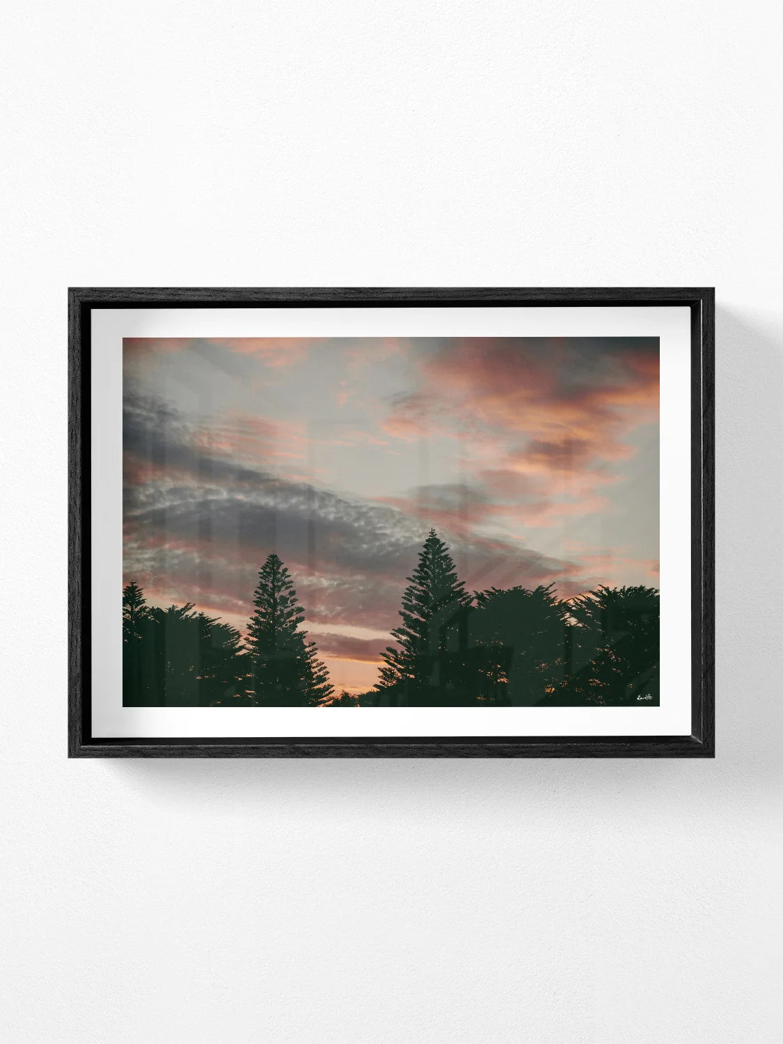 Princess Park Queenscliff Trees and Sky at Sunset