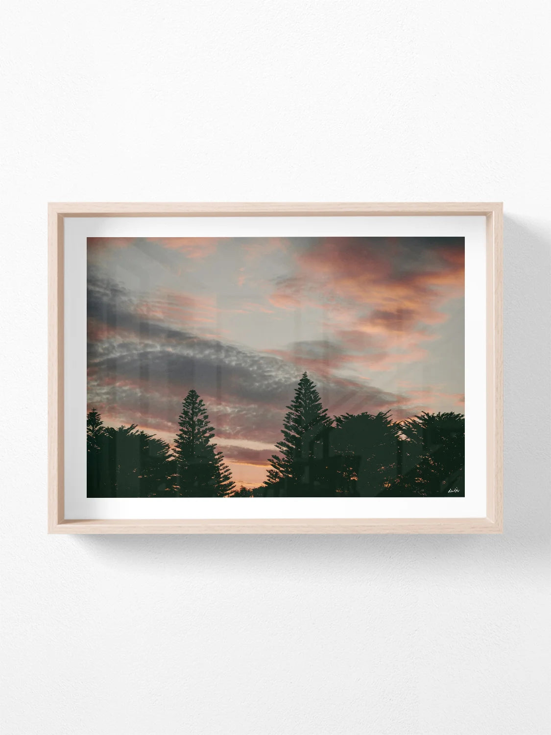 Princess Park Queenscliff Trees and Sky at Sunset