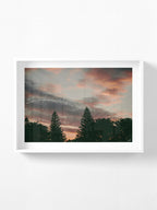 Princess Park Queenscliff Trees and Sky at Sunset