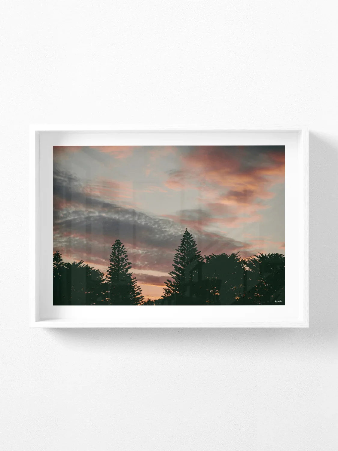 Princess Park Queenscliff Trees and Sky at Sunset