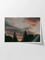 Princess Park Queenscliff Trees and Sky at Sunset