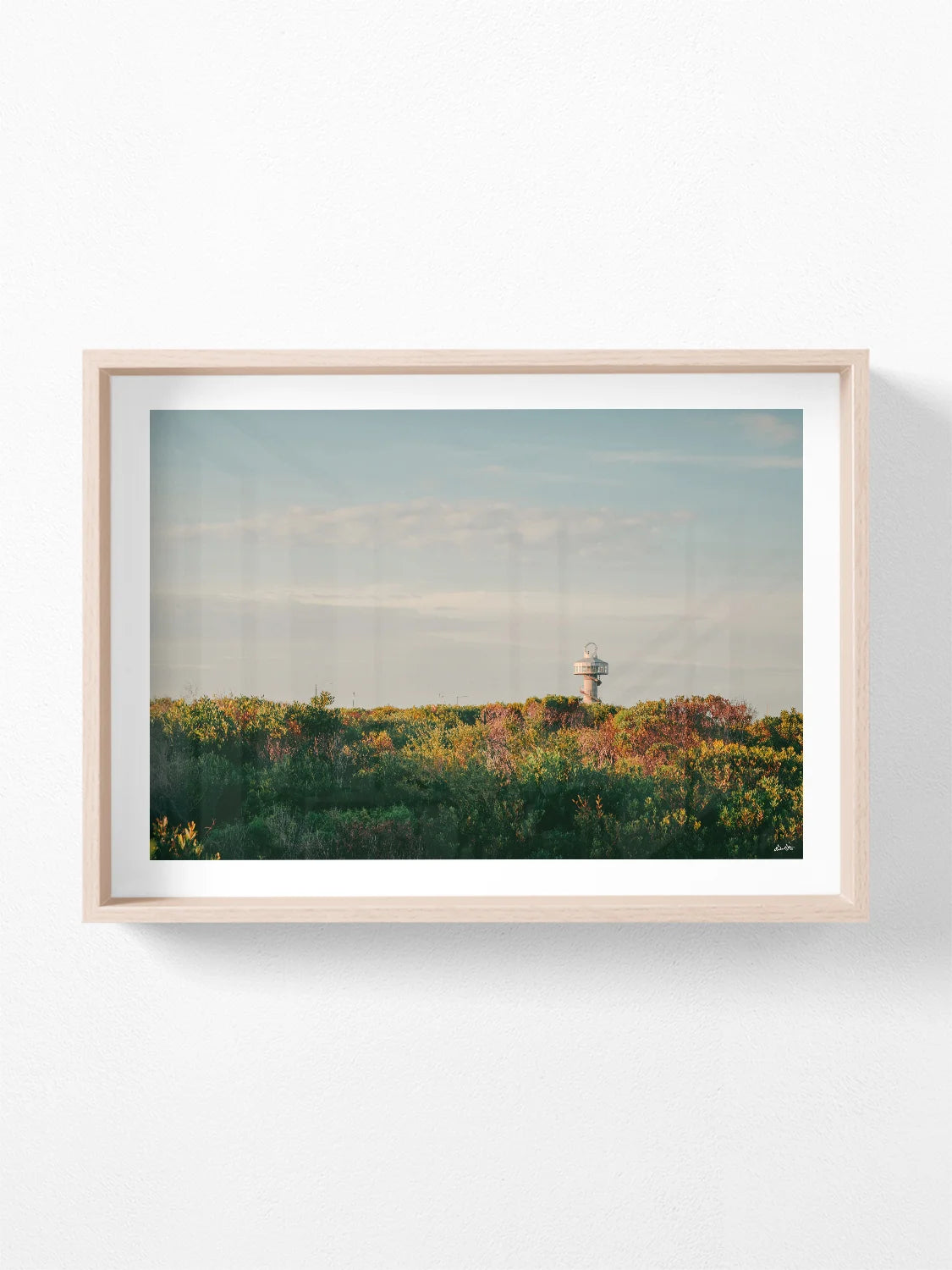 Queenscliff Harbour Observation Tower at Sunset