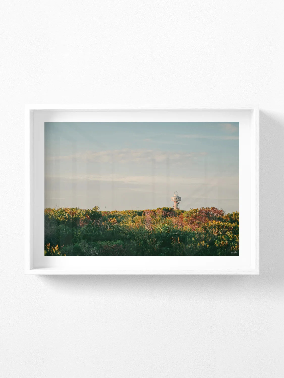 Queenscliff Harbour Observation Tower at Sunset