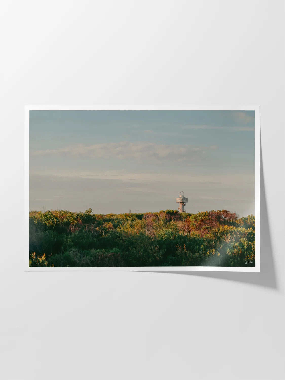 Queenscliff Harbour Observation Tower at Sunset