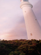 Split Point Lighthouse Portrait