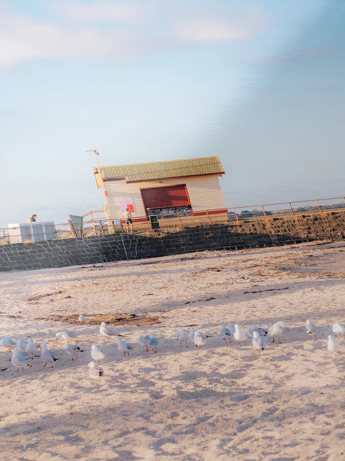 St.Leonard's Pier Kiosk in Fading Light Portrait