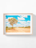 Stuart Highway Side Road Tree