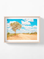 Stuart Highway Side Road Tree