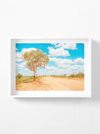 Stuart Highway Side Road Tree