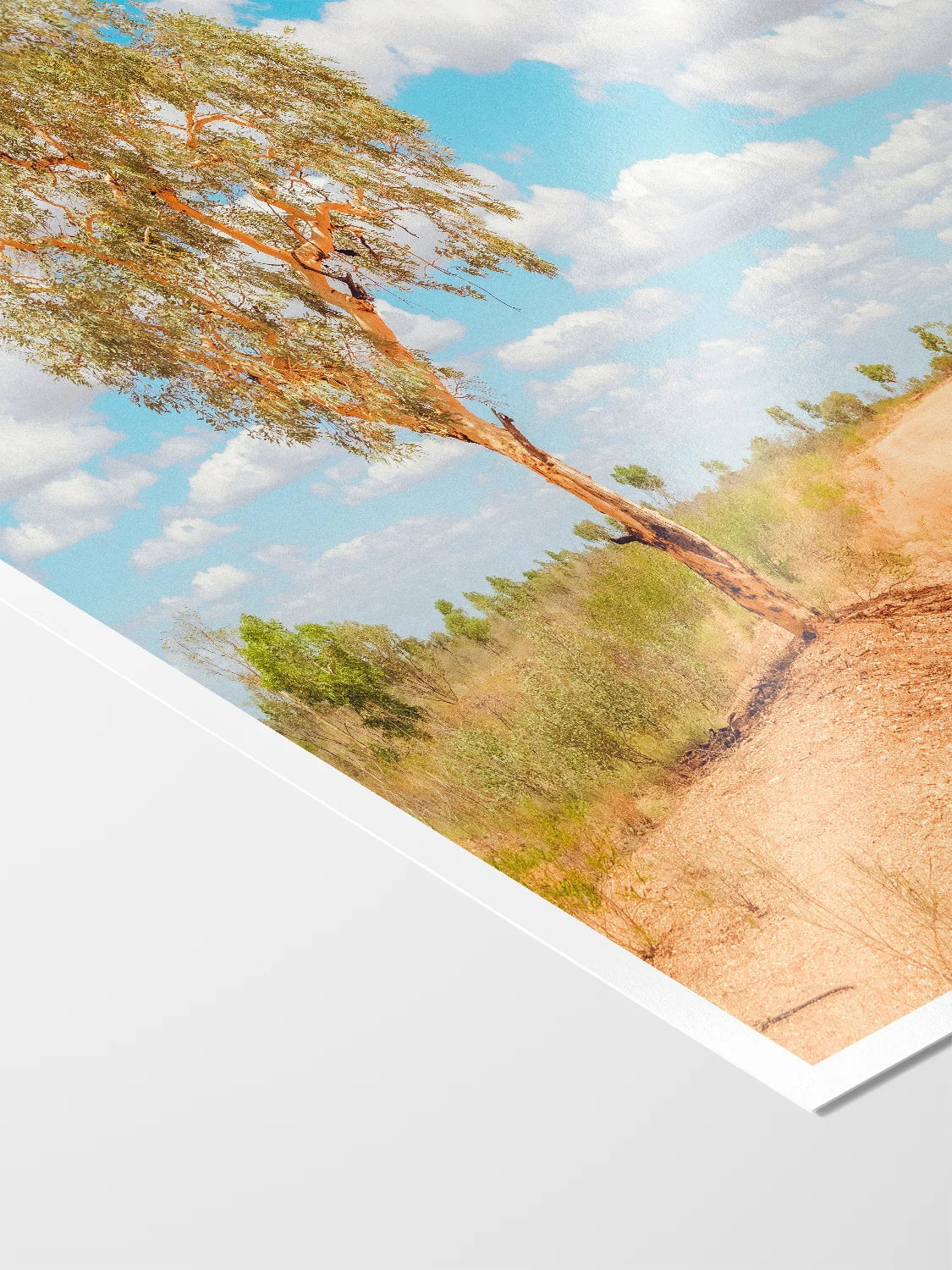 Stuart Highway Side Road Tree