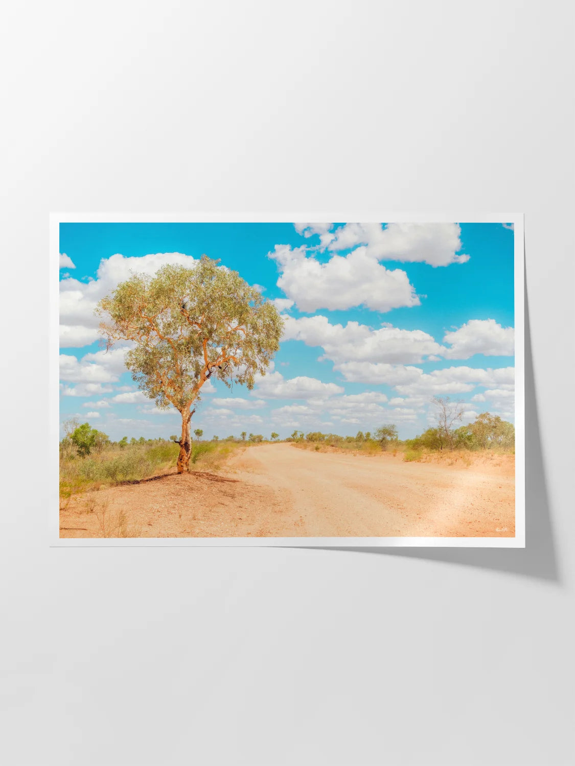 Stuart Highway Side Road Tree