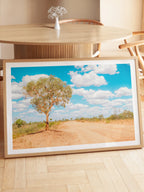 Stuart Highway Side Road Tree