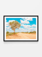 Stuart Highway Side Road Tree