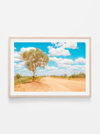 Stuart Highway Side Road Tree