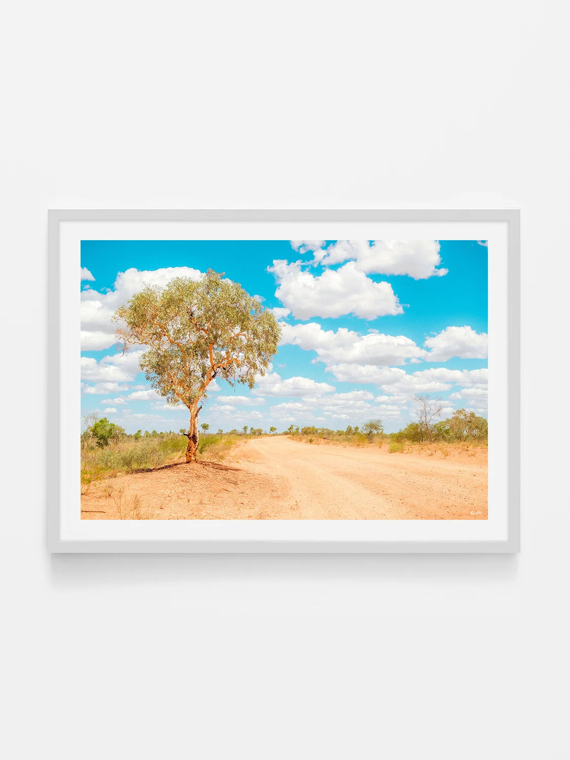 Stuart Highway Side Road Tree