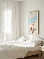 Surf Coast Rainbow Lorikeets