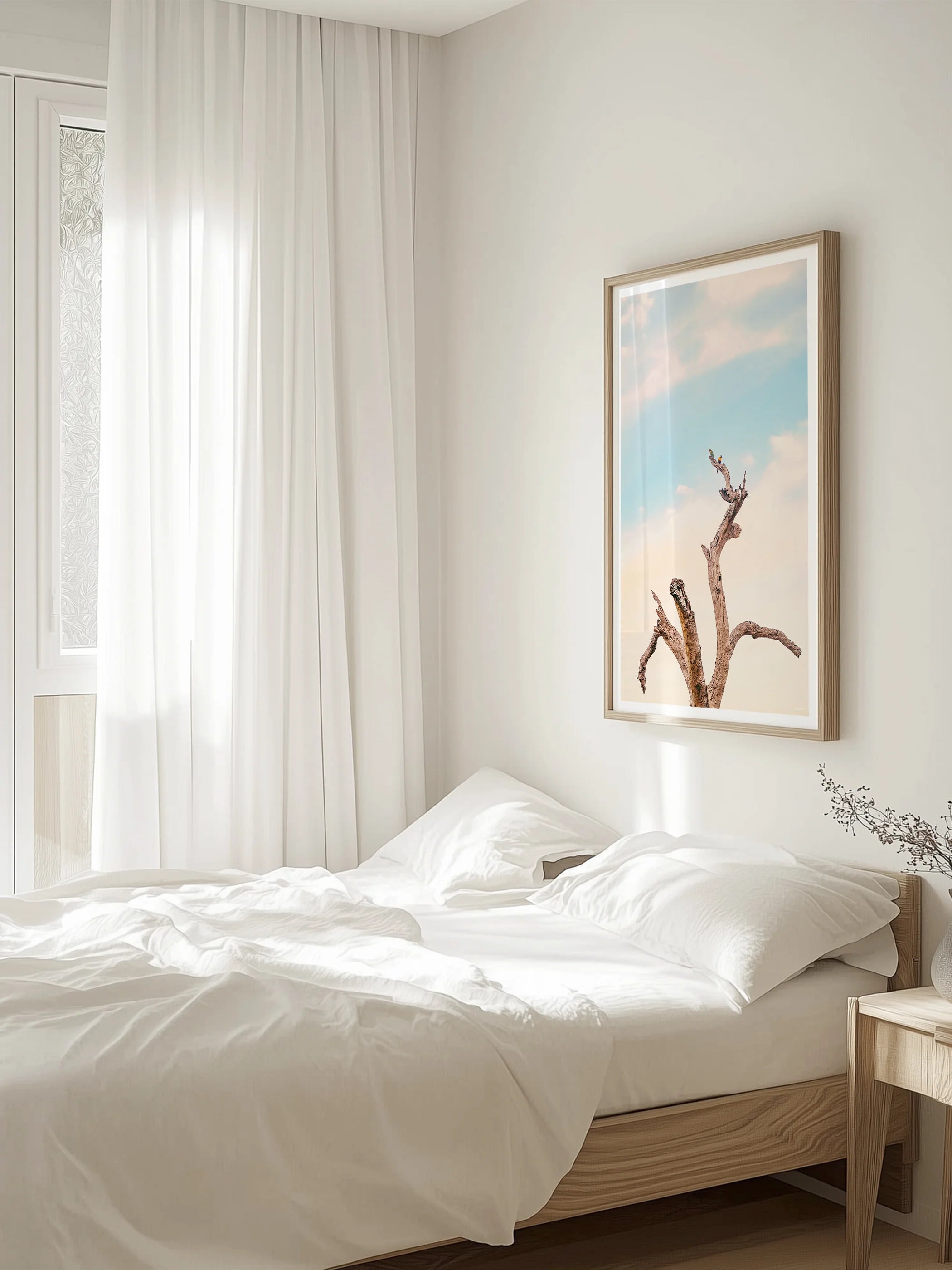 Surf Coast Rainbow Lorikeets