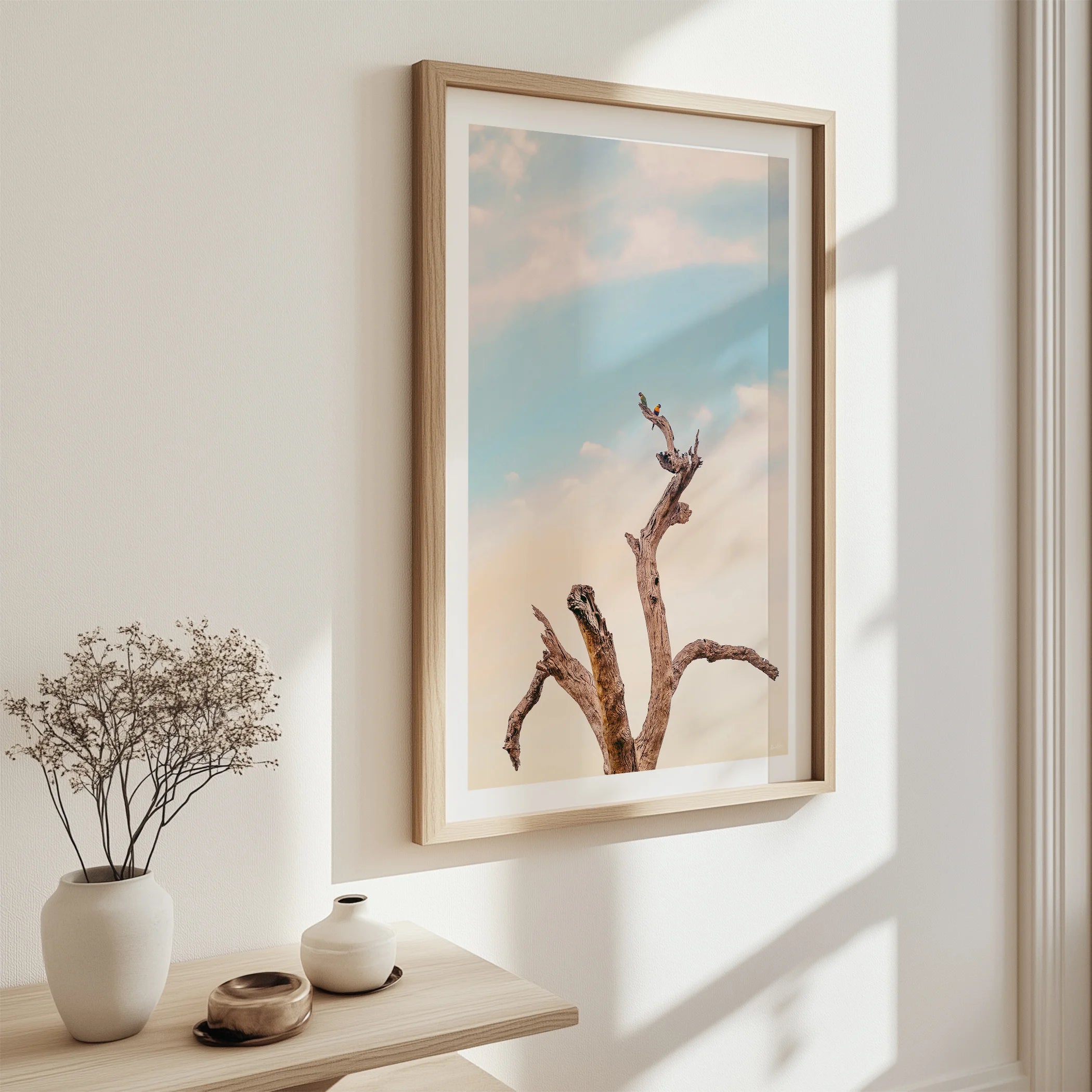 Surf Coast Rainbow Lorikeets