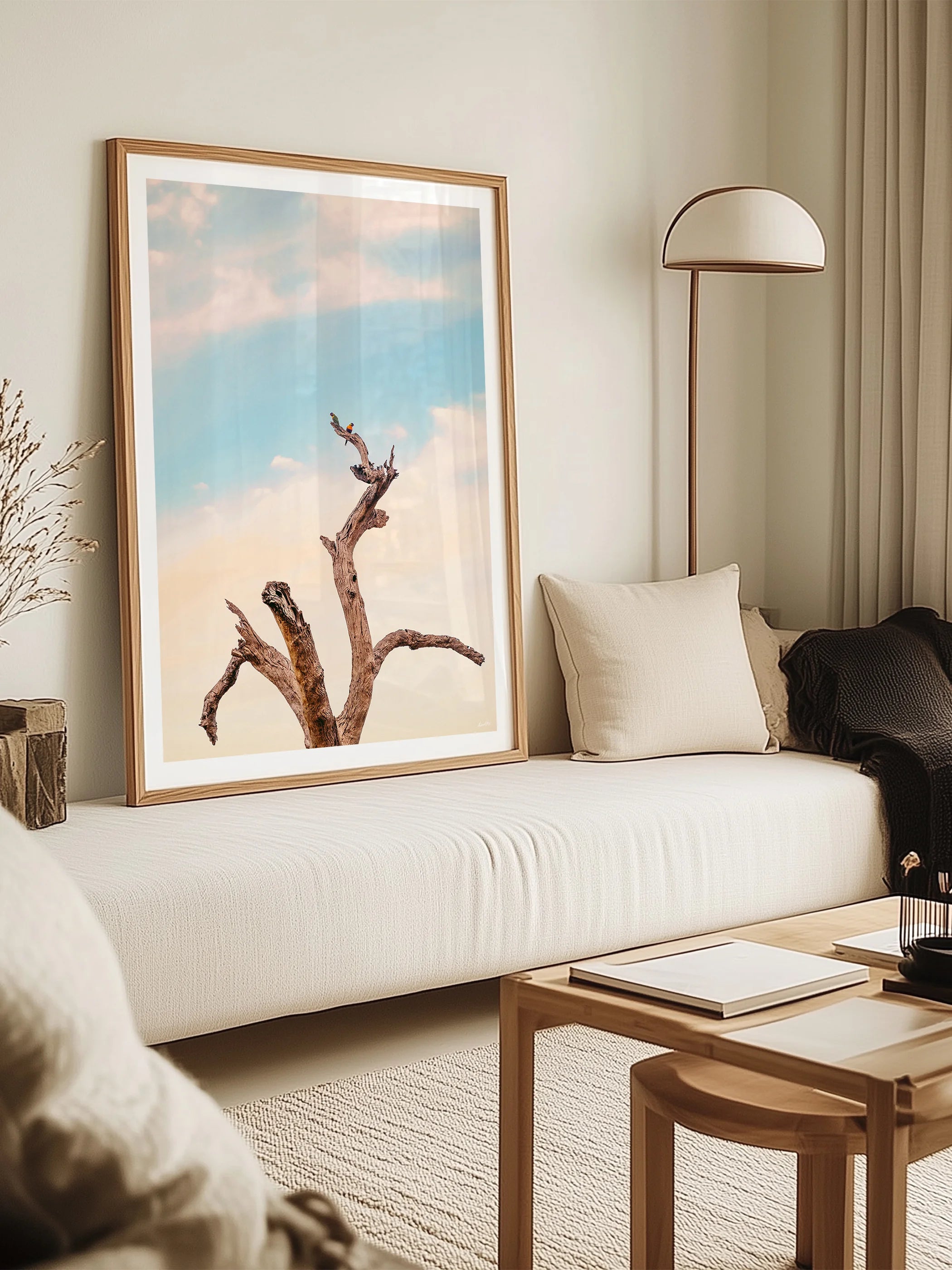 Surf Coast Rainbow Lorikeets