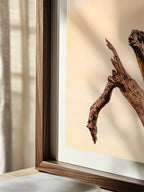 Surf Coast Rainbow Lorikeets