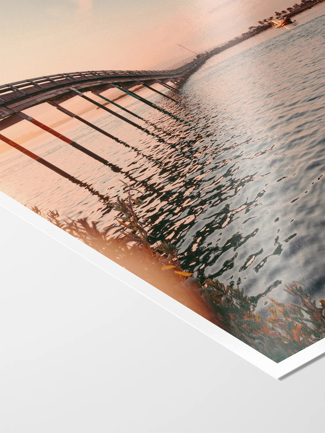 Swan Island Bridge Queenscliff at Sunset
