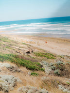 Thirteenth Beach Bodyboarder in Summer