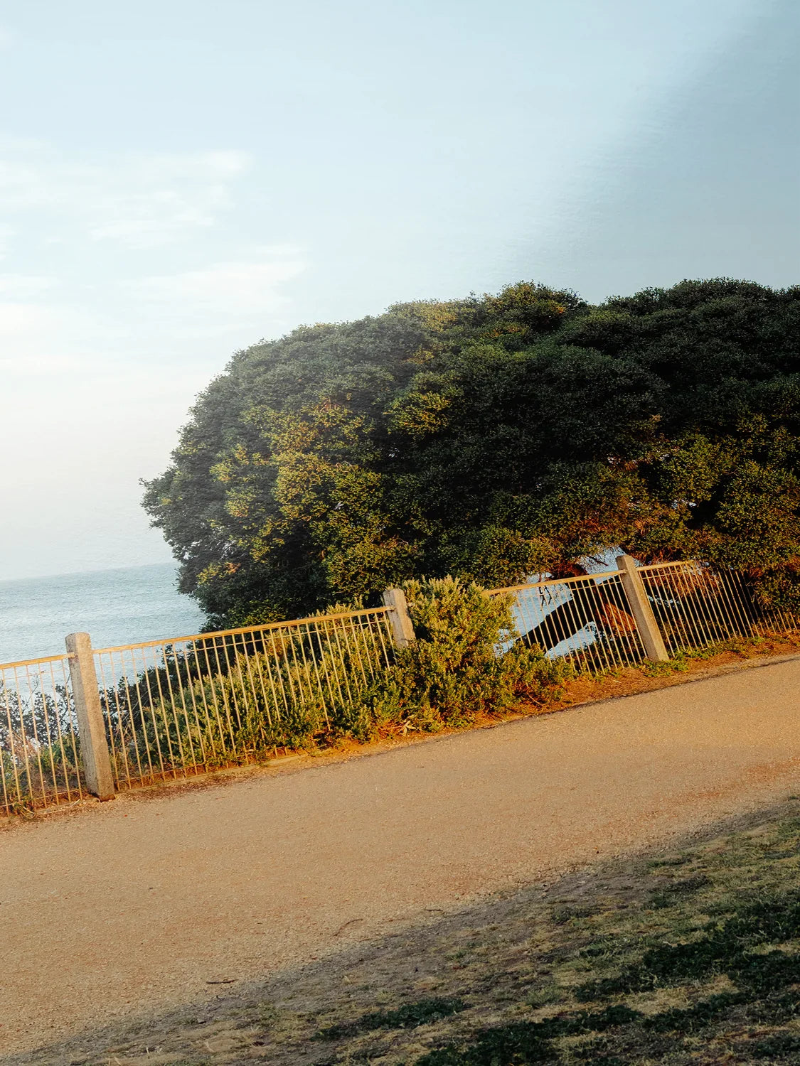 Torquay Esplanade Moonah at Sunset