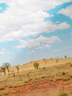 Uluru Approach Spinifex, Sand and Sky