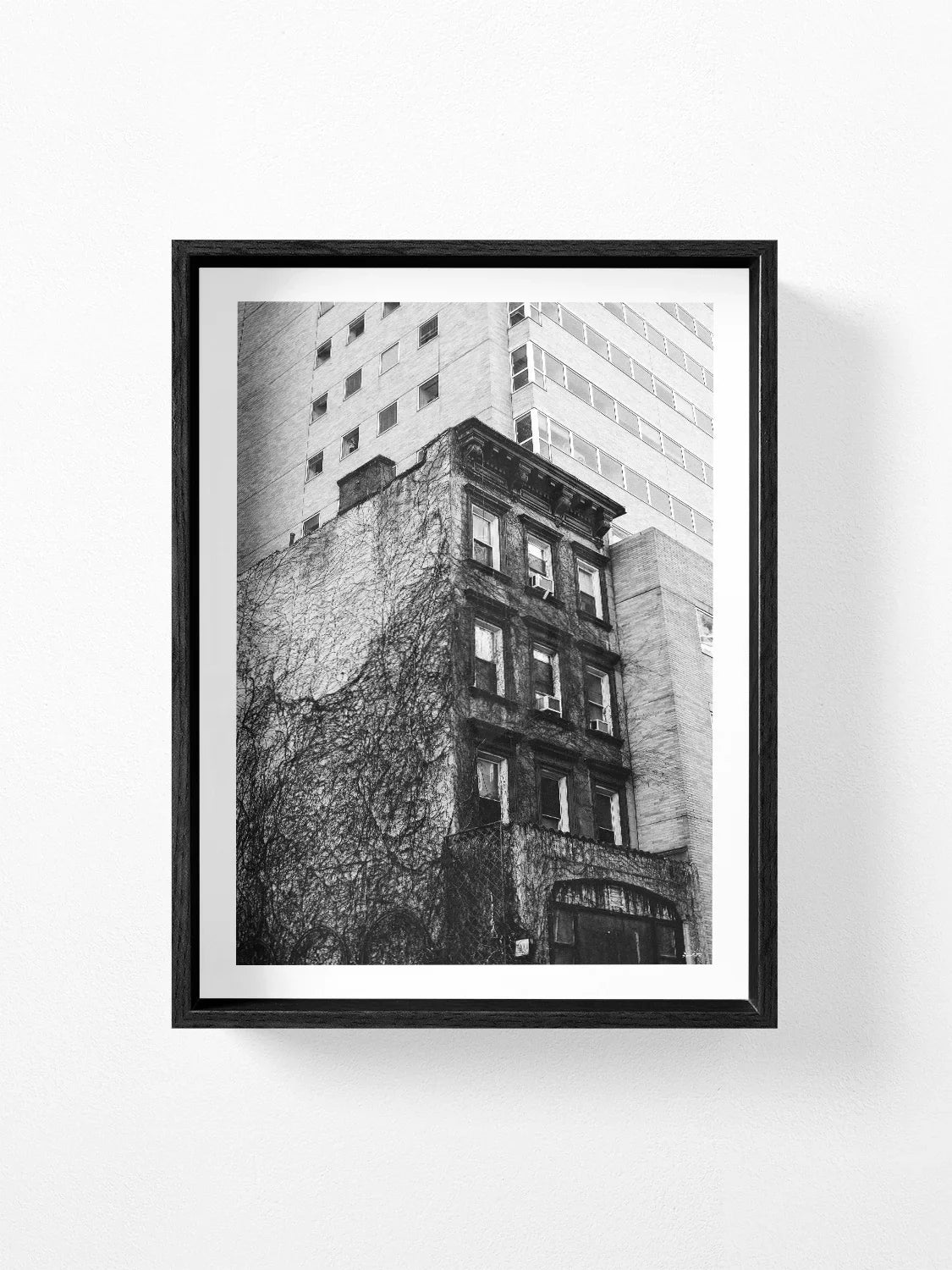 Uptown New York Building in Vines
