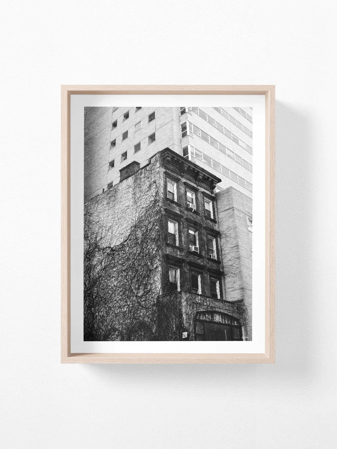 Uptown New York Building in Vines