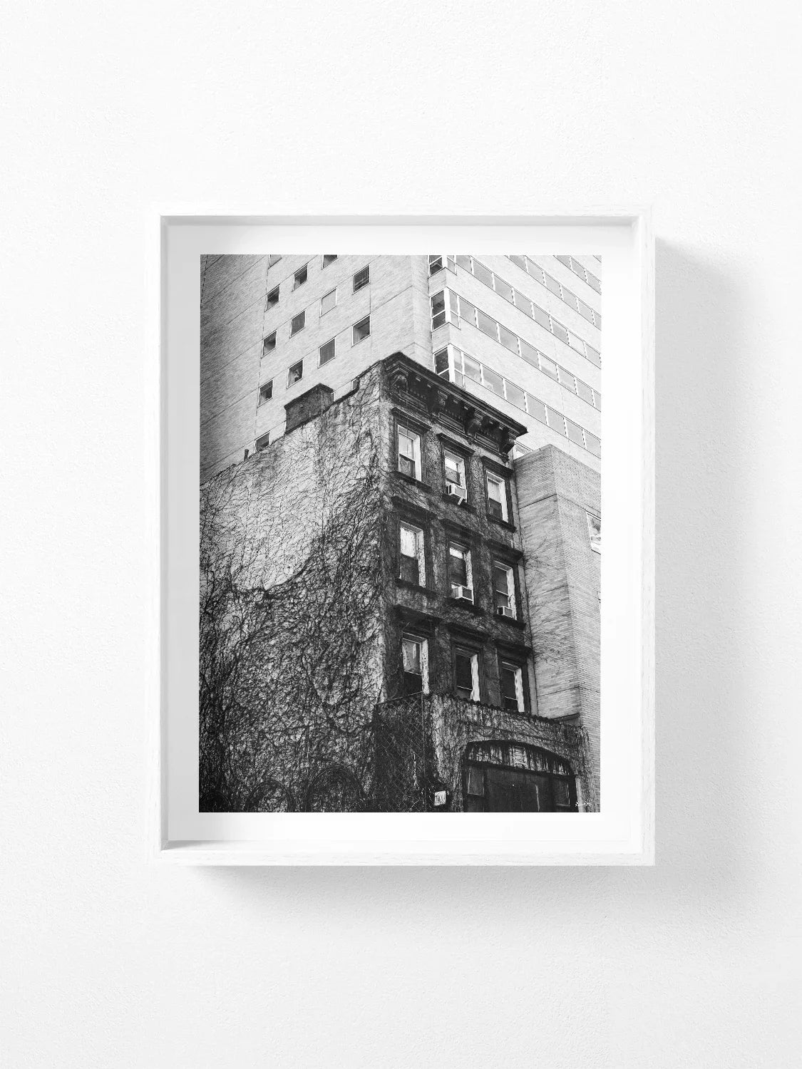 Uptown New York Building in Vines