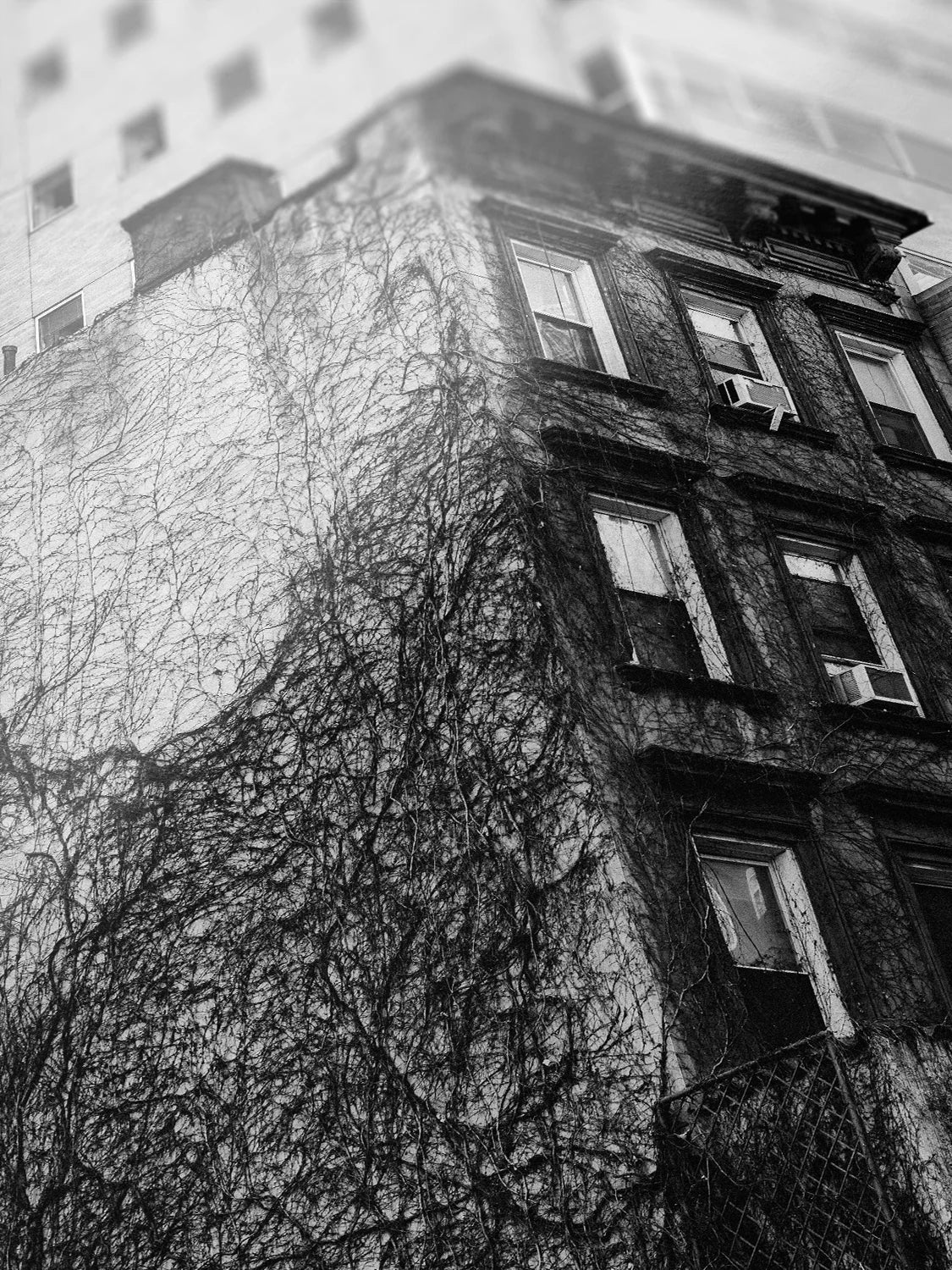 Uptown New York Building in Vines